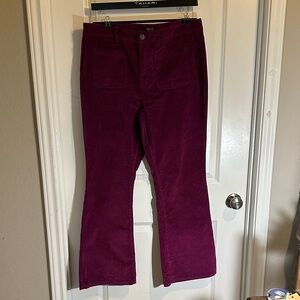 Jones & Co. Women's Flare Jeans in Rich Purple